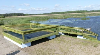 Na ratunek ptakom. Sztuczne wyspy na Zalewie Sulejowskim 