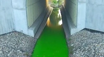 Dlaczego Strawa jest zielona? 