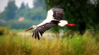 Piękno powiatu w obiektywie - rusza konkurs fotograficzny