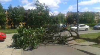 Skutki wichury w naszym regionie 