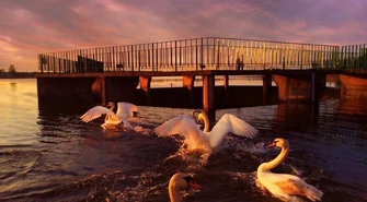 Zatrzymaj piękno przyrody w kadrze