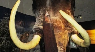 Dzieci z Piotrkowa w Jaskini Raj 