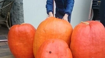 Olek bije kolejne rekordy 