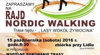 Nordic walking w lasach wokół Żywocina