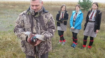 Orły wypuściły bażanty