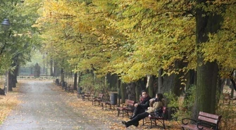 Nie będzie kawiarni w parku? 