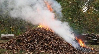 Nie pal liści na działce 