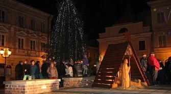 Do 100 tysięcy za sztuczne drzewo z iluminacją. Choinka podzieliła radnych 