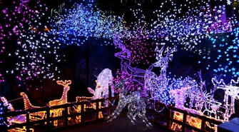 Wykaż się pomysłowością! Urząd i ODA ogłaszają konkurs dla piotrkowian 