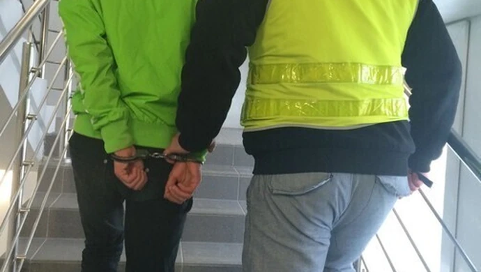 Do 10 lat więzienia za włamanie i kradzież pluszaków 