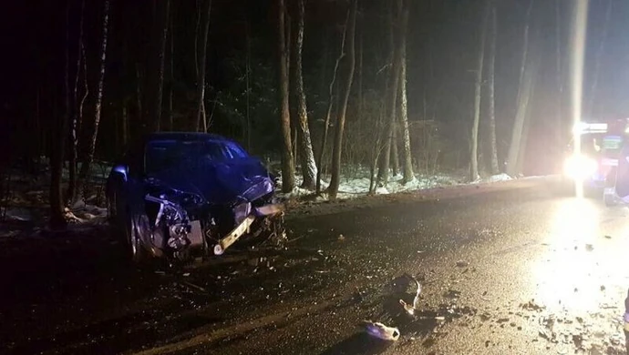 Nagle na jezdnię wbiegł... koń 