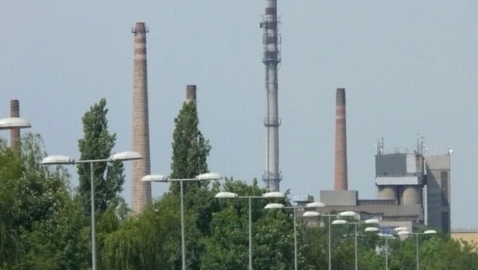 Pamiętacie jak dogorywała Hortensja? 