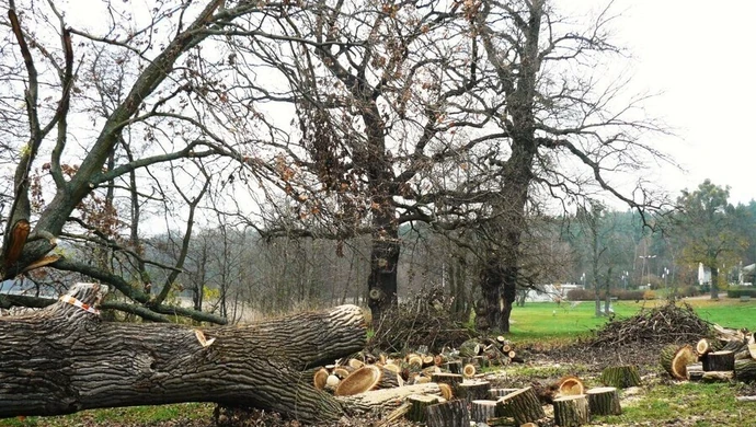 Dobra zmiana w wycinaniu