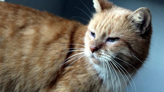 Rudy Boniek znalazł nowych właścicieli 