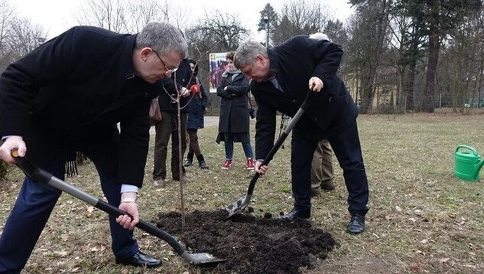 Na stulecie województwa 100 tysięcy drzew 