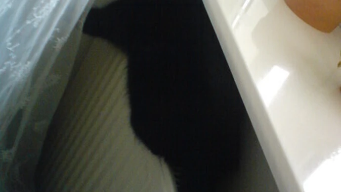 Drożej za ciepło w Piotrkowie 