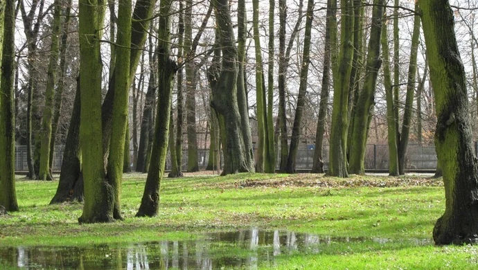 Wiecie, że mamy już wiosnę? 