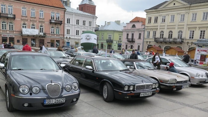Jaguary opanowały Rynek Trybunalski