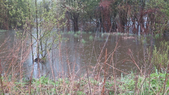 Alarm przeciwpowodziowy w gminach Sulejów i Aleksandrów