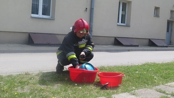 Paliła się butla z gazem