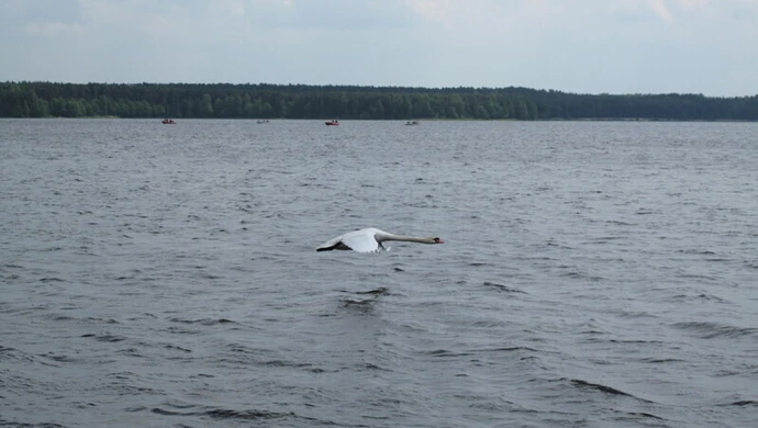 Sprawdź, gdzie można się kąpać