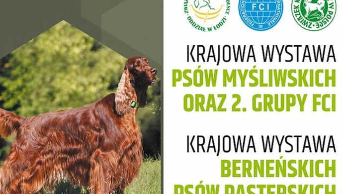 Wystawa rasowych psów w Piotrkowie