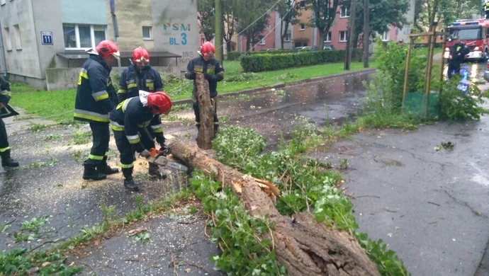 Piotrków. Powalone drzewa, złamane słupy