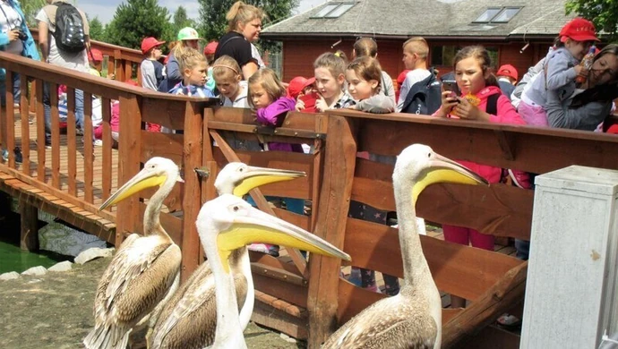 Drugi tydzień wakacji z MOK-iem