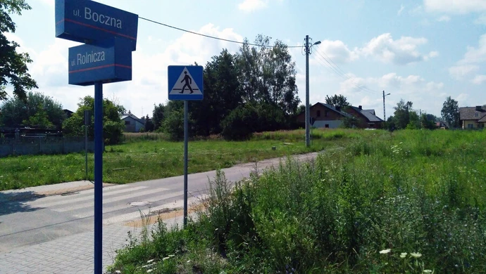 Chaszcze na prywatnych posesjach. ZDiUM i Straż Miejska bezradne