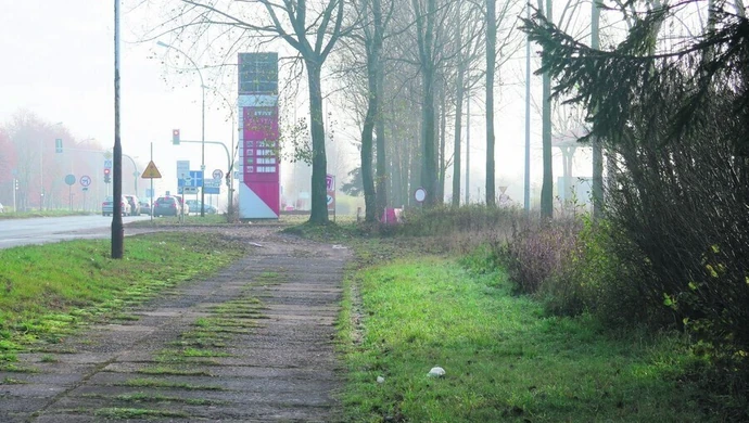 Co z tą Castoramą? 