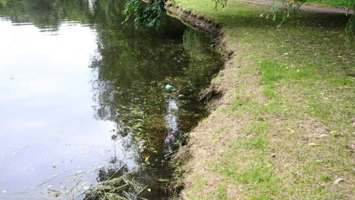 Szczury w parku Belzackim, potrzebna deratyzacja