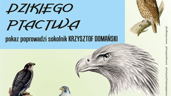 W sobotę pokaz dzikiego ptactwa 