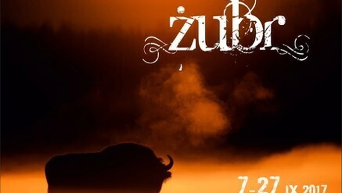 Żubr w roli głównej 