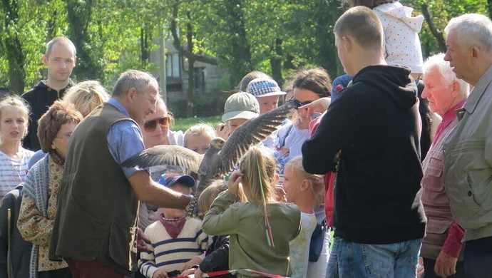 Orły i sokoły zachwyciły piotrkowian