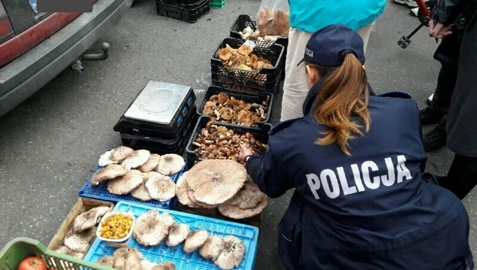 Akcja „Grzyb” na targowisku 