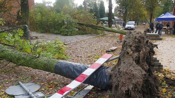 Ksawery wyrywał drzewa z korzeniami [VIDEO]