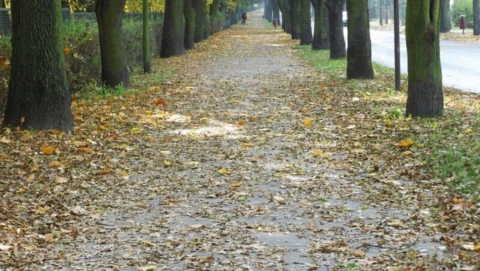„Budowlanka” z Reymontem. O 12.00 początek festynu! 