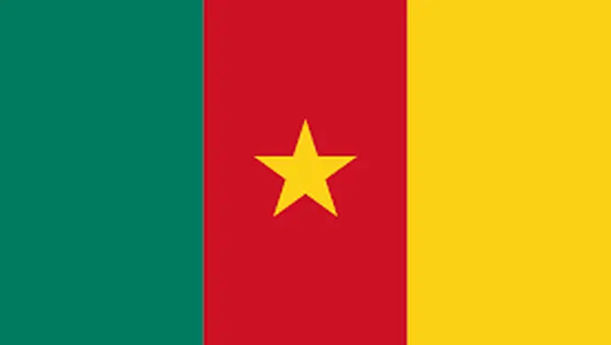 Piotrcovia jednak nie zagra z Kamerunem