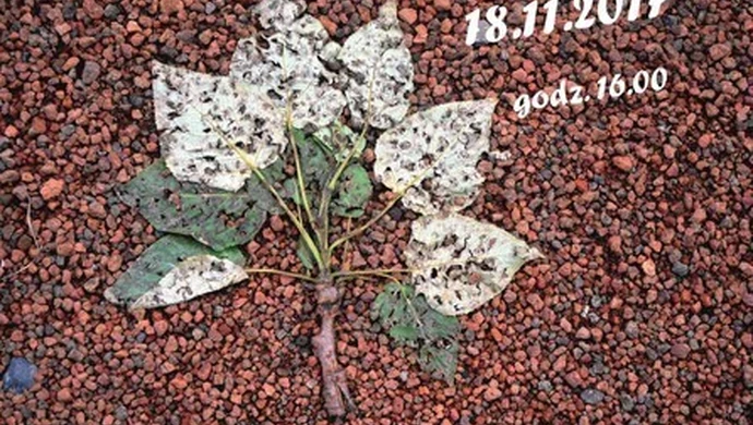 Podsumowanie Ogólnopolskiego Konkursu na Fraszkę Trybunalską 