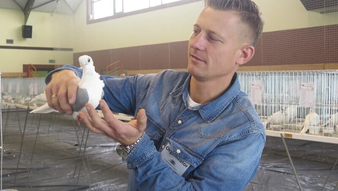 Hodowcy prezentują najlepsze okazy