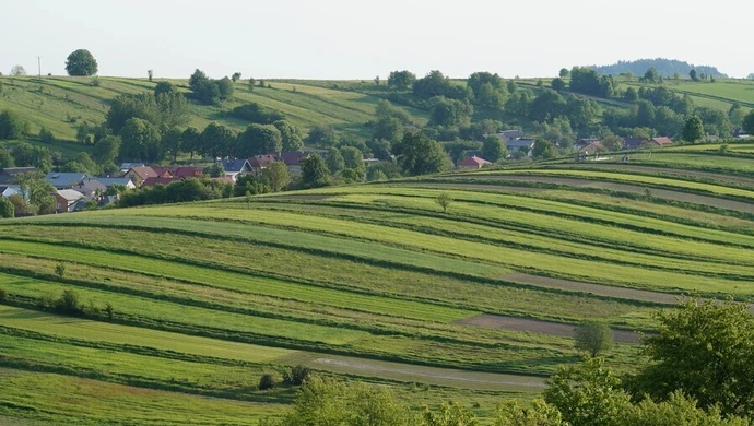 Jak dotrzeć do numeru działki ewidencyjnej?