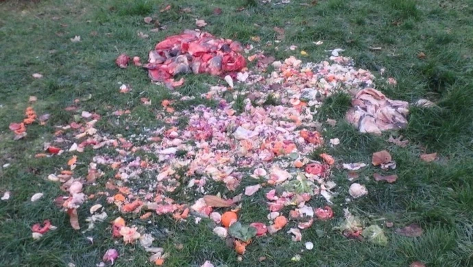 Głowy karpi na skwerze przy podstawówce 