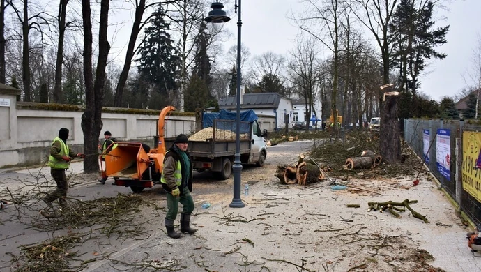 Wycinają kasztanowce na Cmentarnej
