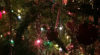 Co zrobić z choinką po świętach? 