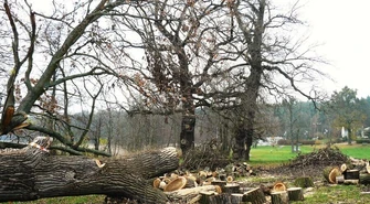 Dobra zmiana w wycinaniu