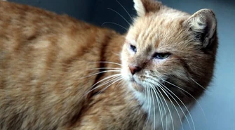 Rudy Boniek znalazł nowych właścicieli 