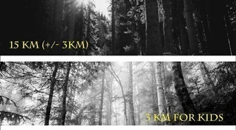 Nagonka w podpiotrkowskim lesie