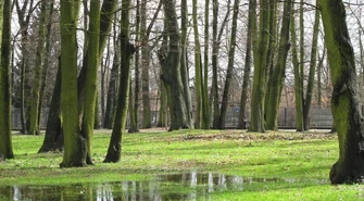 Wiecie, że mamy już wiosnę? 