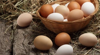  Nie ma Wielkanocy bez jajka