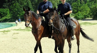 Odprawa służb nad Zalewem Sulejowskim